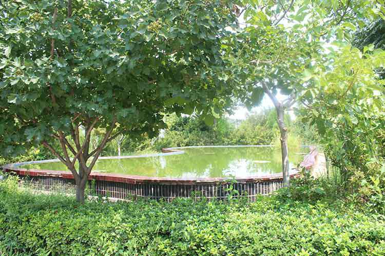 安博站官网登录入口-安博(中国)机械厂区环境优美